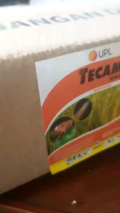 INSEKTISIDA TECAM 80 WG MIRIP REGENT SASET