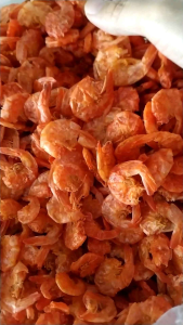 กุ้งเนื้อ จืด กุ้งแก้ว กุ้งบางจืดตัวใหญ่ กุ้งเนื้อ กุ้งแห้ง ตัวใหญ่ กุ้งโอคัก กุ้งส้มตำ กุ้งส้มฝอย กุ้งผัดไทย