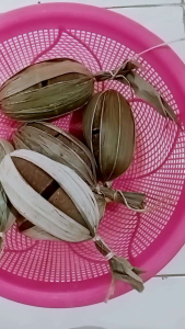 GULA AREN ASLI 💯 Lebak Banten 5 hulu (1 kojor) Kualitas Terbaik