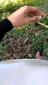 เครื่องตัดหญ้าไร้สาย ไร้แปลงถ่าน Mekita 399v พร้อมใช้ งานเทียบ AAA