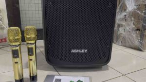 Speaker Trolley ASHLEY Model : IR500 12 Inchi Bisa di Cas Free 2 Microphone Wireless