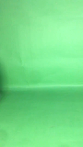 Spons poles bodi mobil 6 inch isi 8 set