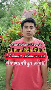 💪🏽🐔เซียนไก่เวย์ โปรตีนไก่ชน บินดีไม่มีตก วิ่งอืด บำรุงไก่ชน เสริมกระดูก #เซียนไก่การันตี