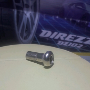 BAUT BINTANG KALIPER KEPALA BABI 10X25 NEKEL