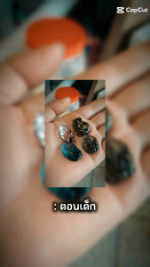 Mặt dây chuyền đá Th.ạch a.nh Hồ ly 9 đuôi mang lại May Mắn Hạnh phúc + dây đeo