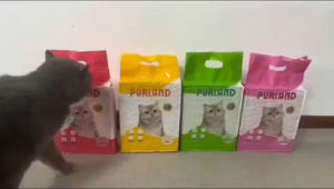 PURLAND Tofu Strip Cat Litter 7L