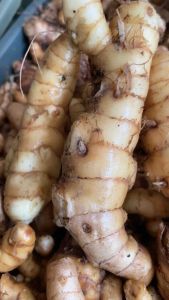 kunyit putih segar murah 500gr