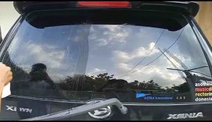 Jamur kaca dan body mobil