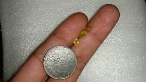 Batu Safir Kuning Mini Yellow Sapphire Cutting Diamond 6x4x3 Estimasi Per Pcs
