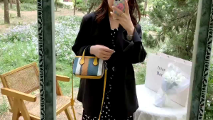 Tas Handbag Wanita Import Top Handle Kanvas Wanita Tas Selempang Cewek 622877 2287