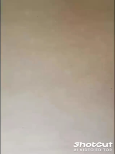 Baby Walker-Alat Bantu Jalan Bayi PVC dari PAMER in