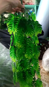 daun juntai monstera artificial plastik hiasan kafe rumah hotel