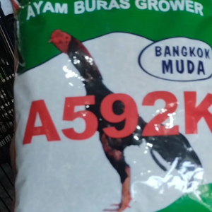 hi pro vite 592 pakan ayam konsentrat untuk ayam bangkok muda
