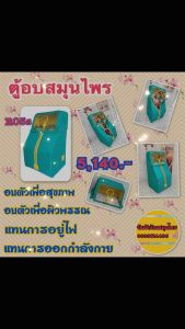 ตู้อบสมุนไพร R05s สีเขียว ที่อบผมขนาดใหญ่