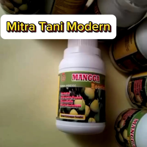Booster Mangga Semprot & Kocor Perangsang Buah Terbaik