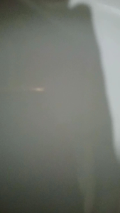 Piring Keramik Bunga Rose Besar 6PCS (23cm/9inch)