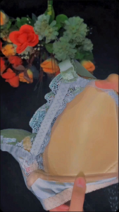 Bra Wanita Satuan Banyak Warna Bh Busa Premium