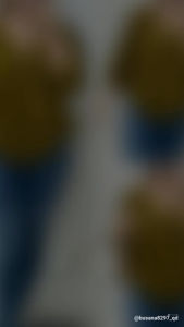 Kemeja kancing leher v