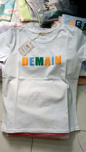 Áo thun nữ chất thun thái phom vừa từ 40-62kg vải mềm mại co giãn [DEMAIN]