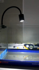 🔥[Ready Stock]🔥Aquarium LED Light COCO SD-300 Mini Spotlight3W/5W/7W COB Lamp for Fish TankDecorative Lighting220V