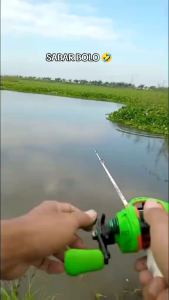 SOFT FROG MINI MURAH UKURAN 25CM