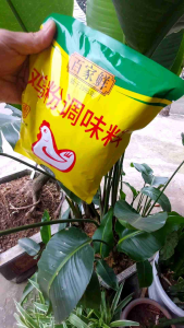 Bột nêm gà - Bách Gia Tiên 1kg (Gia vị nấu ăn giá phù hợp dùng cho gia đình và nhà hàng)