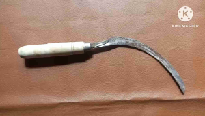 Arit Padi & Arit Ilalang: Memilih Alat yang Tepat