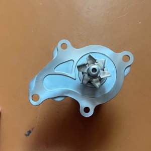 ORIGINAL PERODUA GENUINE AXIA/BEEZA WATER PUMP