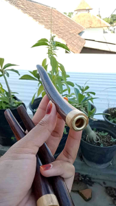 once pipa kayu galih asem kombinasi kemuning gading B69