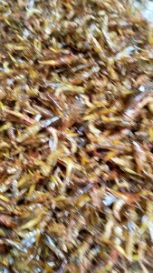 Cemilan Enak/Cemilan Viral Toples Warna 180 Gram