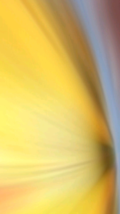 Combo 1c Dầu ăn Orchid 5l 1c Nước Mắm Nam Ngư Siêu Tiết kiệm 4.8l