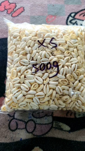 Natural Shells Beads /burie /siput (500g)