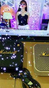 Loa Marshall Bluetooth Willen 2 Pin lên đến 17h - Bảo Hành 12 tháng-