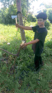 kampak  balok  tebang & cacah pull bazza