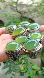 serpentine serpentine green Apple cincin akik serpentine