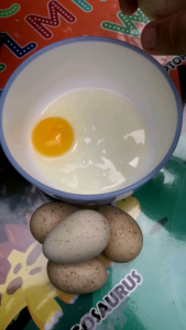 12pcs Fresh Chukar Eggs|Low cholesterol and Nutritious High|Natural Fresh from Farm