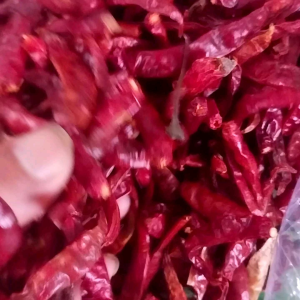 Cabe Rawit Kering 1Kg Teja impor || Cabai Super Pedas