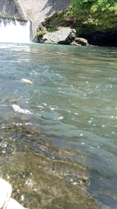 Minyak PijatUrutOles danTerapi ASTAGUNAMujarab dan Istimewa untuk sakit ringan dan berat