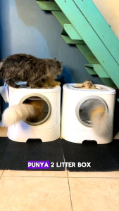 ByeBye BAU by Dr.Bulu - Bye Bye Bau Deodorant Litter Box Penghilang Bau Litter Box Kucing dan Anjing Odor Remover Deodorizer Multipak