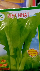 Hạt giống cải bẹ mỡ Đài Loan VN 88 chịu nhiệt không cay - 20gr