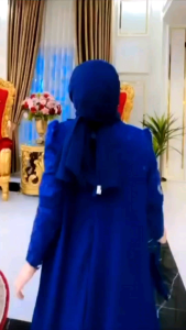 EVALIA DRESS BY ALDISA