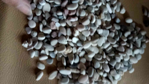 Batu Kuaci Panca Warna Aquarium 1 Kg