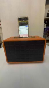 ลำโพงช่วยสอน ลำโพงบลูทูธพกพา ลำโพงไมค์ลอย รุ่น Party300 (เสียบไมค์ได้) ปรับเสียงไมค์และแอคโค่