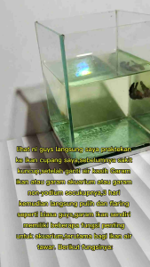 Garam Ikan Premium Garam Aquarium 500gram Kristal Putih Kualitas No 1