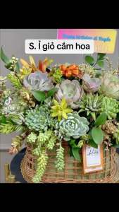 Giỏ mây cắm hoa giỏ cắm hoa giỏ đựng hoa quả làm quà tặng
