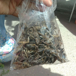 เขียดตากแห้ง100g.