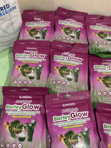 BARLEY GLOW - ORGANIC GREEN BARLEY (10 sachets)