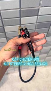 Dây 6 Ly Stereo Ra 2 Đầu AV Hoa Sen Cái dài 30cm giá 1 dây cáp chuyển đổi jack 6.5mm stereo sang 2 đầu jack hoa sen.