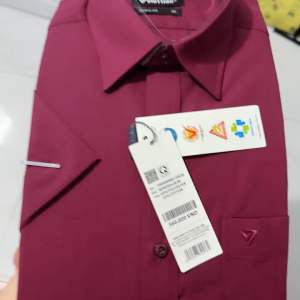 Đỏ đô Áo sơ mi viettien ngắn tay lai bầu (Regular )