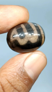 Batu Fosil Galih Kelor Hitam Lafadz ALLAH  Asli Natural